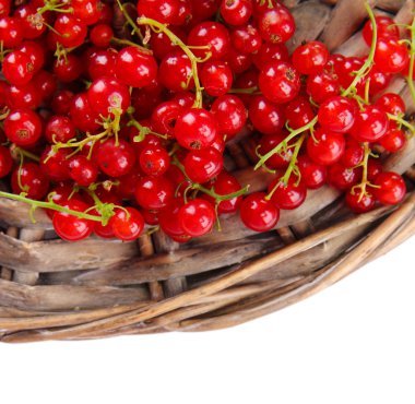 beyaz izole olgun kırmızı kuş üzümü