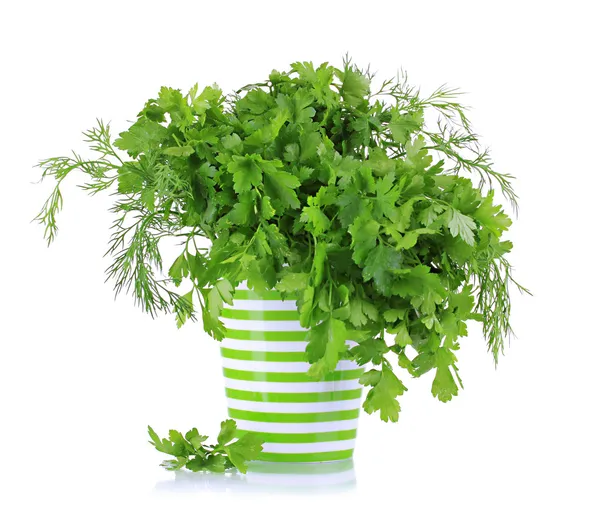 Colorful pot with parsley and dill isolated on white — Stock Photo, Image