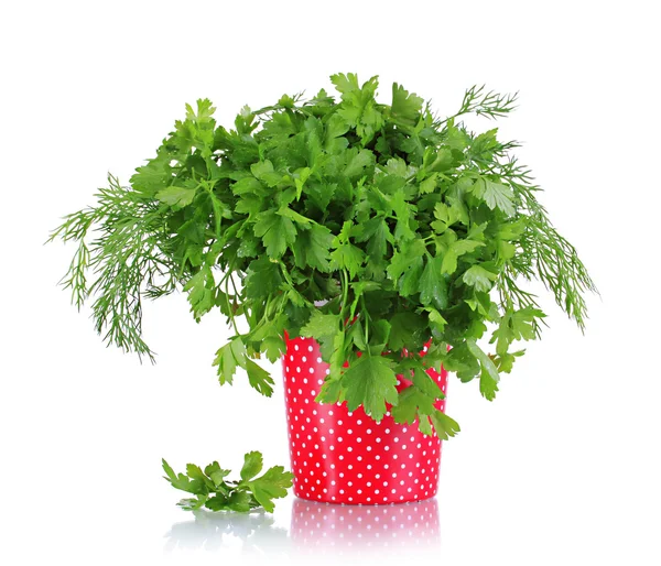 Colorful pot with parsley and dill isolated on white — Stock Photo, Image