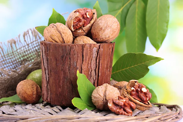 Walnuts with green leaves in garden, on green background — Stock Photo, Image