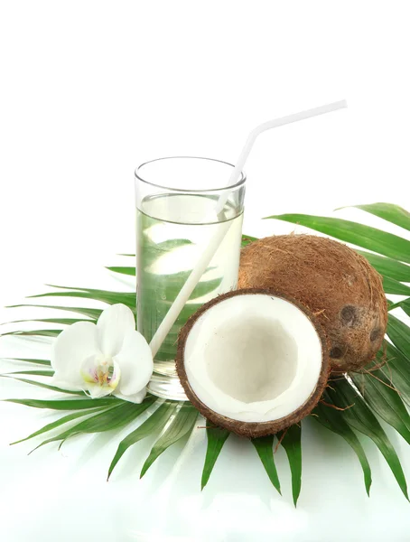 Kokosnoten met glas melk, geïsoleerd op wit — Stockfoto