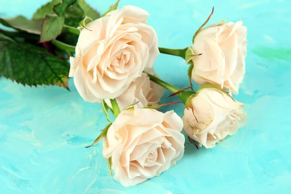 Schöne cremige Rosen in Nahaufnahme, auf farbigem Hintergrund — Stockfoto