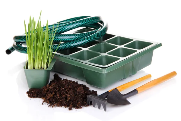 Caja de semillas para plántulas aisladas en blanco — Foto de Stock