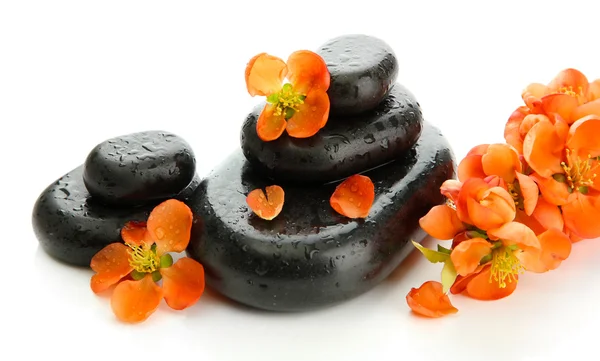 Piedras de spa y flores aisladas en blanco — Foto de Stock