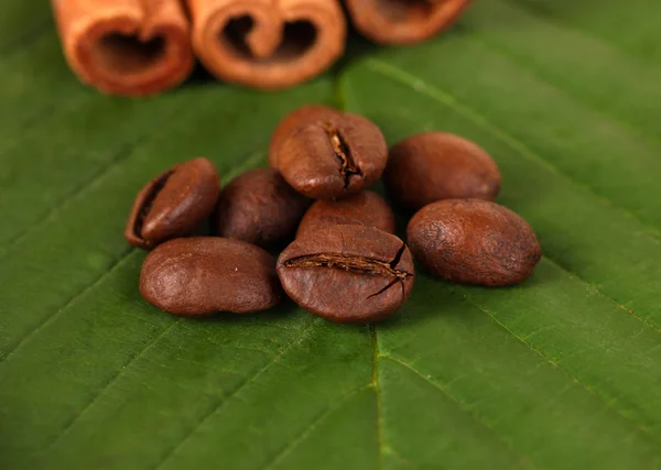 Coffee grains and cinnamon on sackcloth on green leafs close-up — Stock Photo, Image