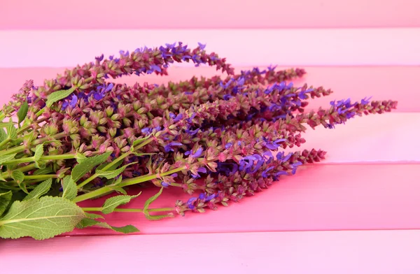 Salvia bloemen op roze houten achtergrond — Stockfoto