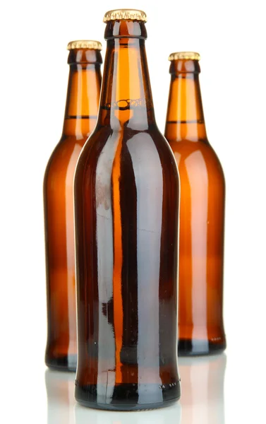 Botellas de cerveza aisladas en blanco — Foto de Stock