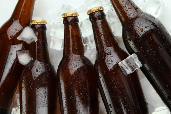 Butelek piwa w kostki lodu z bliska — Zdjęcie stockowe