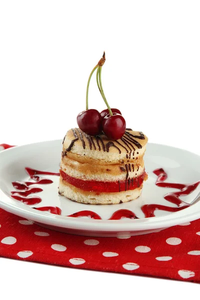 흰색 절연 접시에 맛 있는 비스킷 케이크 — 스톡 사진