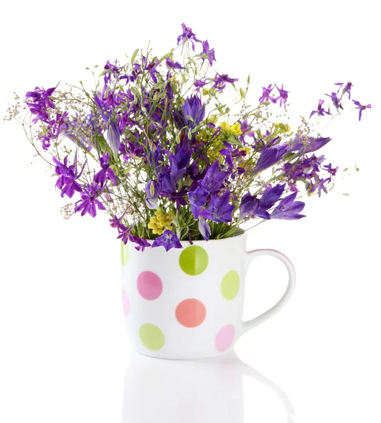 Beautiful bouquet of wildflowers in cup, isolated on white — Stock Photo, Image