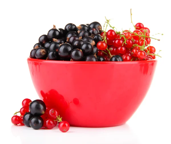 Red and black currant in bowl isolated on white — Stock Photo, Image