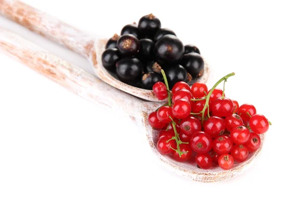 Röda och svarta vinbär i träskedar isolerad på vit — Stockfoto