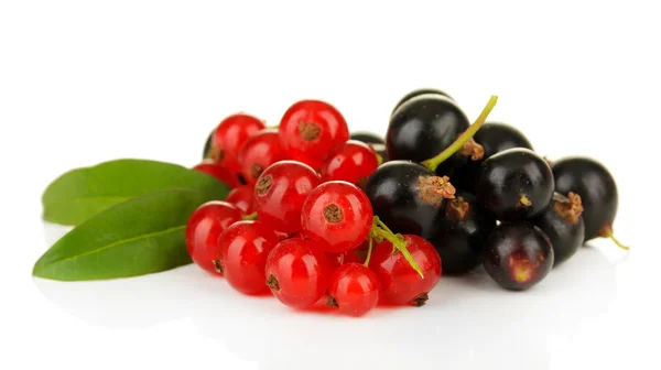 Red and black currant isolated on white — Stock Photo, Image