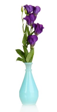 eustoma üzerinde beyaz izole Vazoda Çiçekler buket