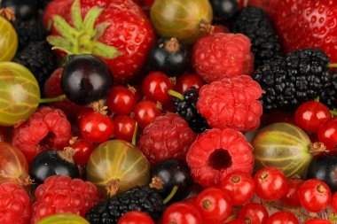 Olgun meyveleri yakın çekim