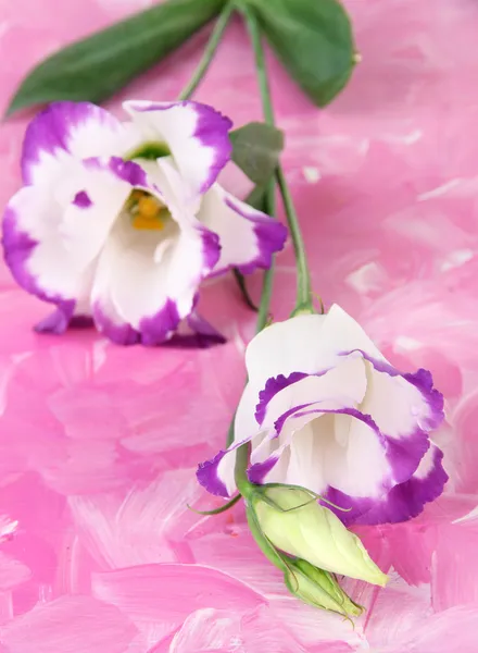 Ramo de flores de eustoma sobre fondo de madera de color — Foto de Stock