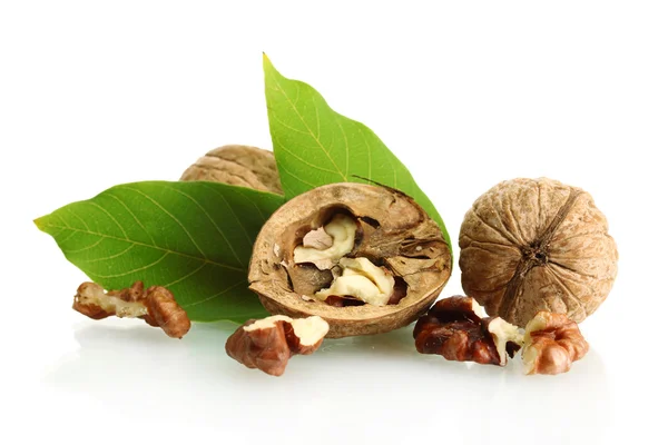 Nueces con hojas verdes, aisladas sobre blanco — Foto de Stock