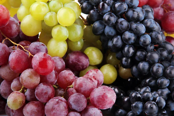 Sortimento de uvas doces maduras, close up — Fotografia de Stock