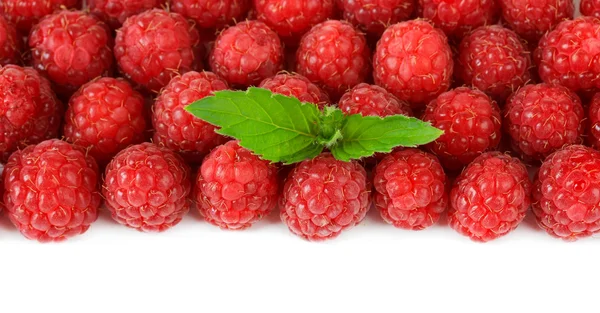 Ripe sweet raspberries isolated on white — Stock Photo, Image