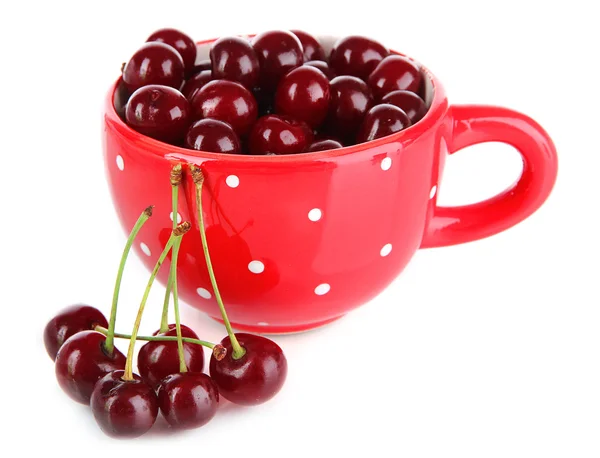 Sweet cherry in cup isolated on white — Stock Photo, Image
