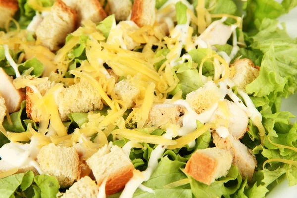 Sezar salatası beyaz tabakta yakın çekim — Stok fotoğraf