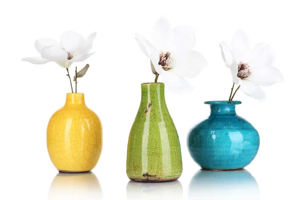 Beautiful magnolia in vases isolated on white — Stock Photo, Image
