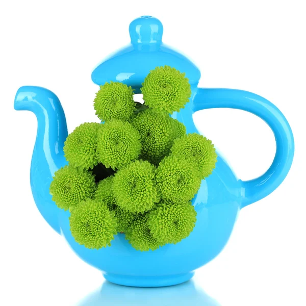 Schöne grüne Chrysantheme in der Vase-Teekanne isoliert auf weiß — Stockfoto