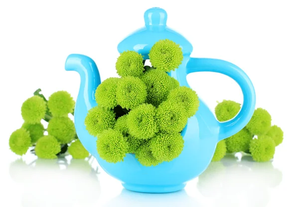 Beautiful green chrysanthemum in vase-teapot isolated on white — Stock Photo, Image