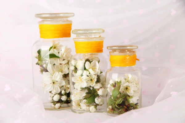 Flowering branches in glass banks on light fabric background — Stock Photo, Image