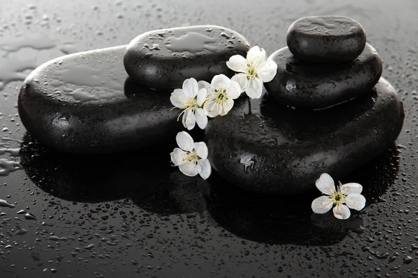 Spa stones and white flowers on dark background — Stock Photo, Image