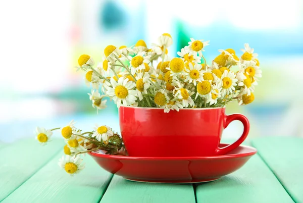 Bouquet of chamomile flowers in cup, on bright background — Stock Photo, Image