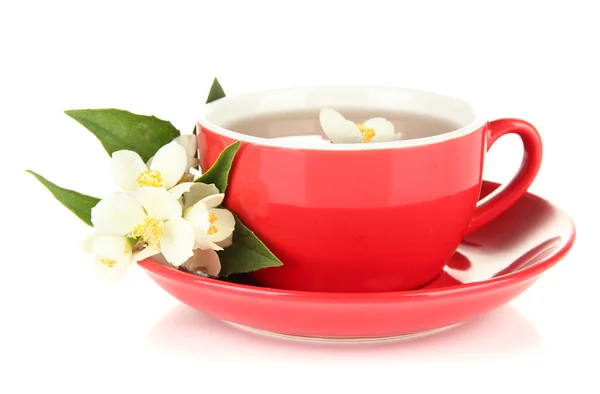 Cup of tea with jasmine, isolated on white — Stock Photo, Image