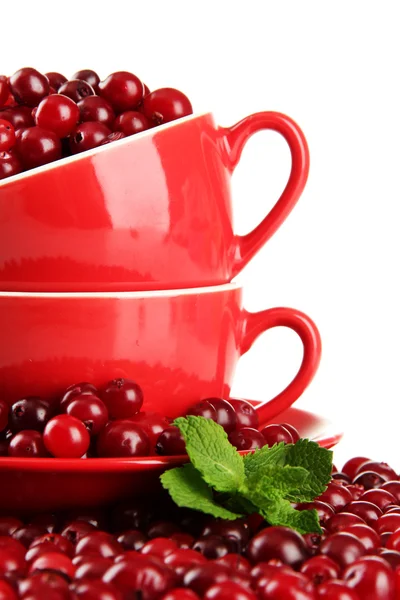 Ripe red cranberries in cups, isolated on whit — Stock Photo, Image