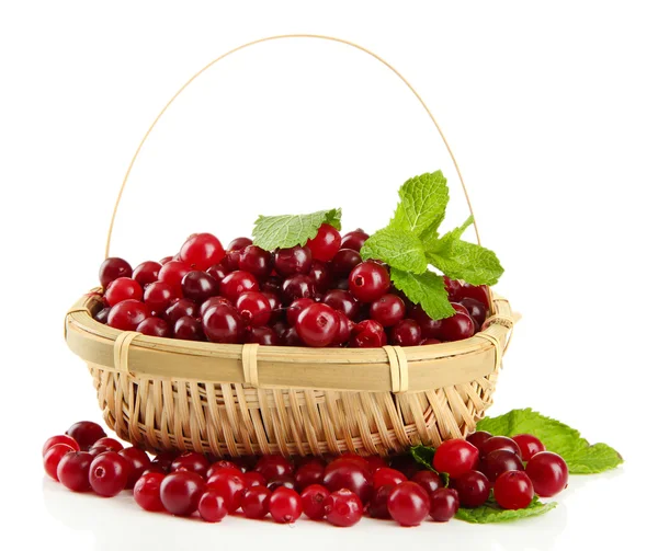 成熟的红色蔓越莓在篮子里，隔绝对惠特 — 图库照片