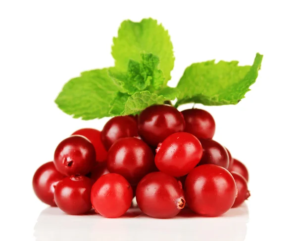 Ripe red cranberries, isolated on whit — Stock Photo, Image