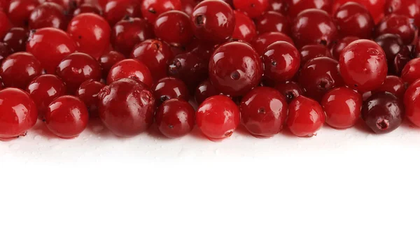 Ripe red cranberries, isolated on whit — Stock Photo, Image