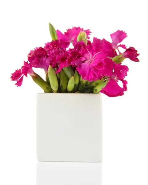 Bouquet of carnations in vase, isolated on white — Stock Photo, Image