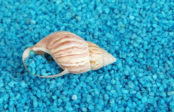 Shell op blauwe kristallen van zee zout achtergrond — Stockfoto