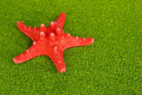 Red starfish on green crystals of sea salt background — Stock Photo, Image