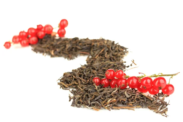 Té seco de bayas aislado en blanco — Foto de Stock