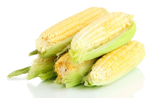 Légumes de maïs frais isolés sur blanc — Photo