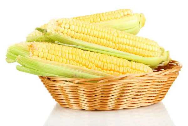 Fresh corn vegetable in basket isolated on white — Stock Photo, Image