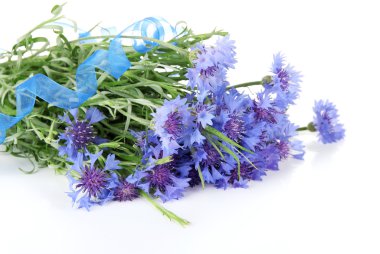 güzel beyaz izole Peygamber, buket