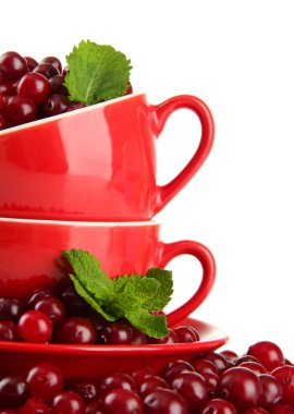 Whit üzerinde izole olgun kırmızı cranberries bardak,