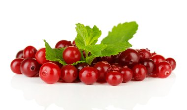 Olgun kırmızı kızılcık, Whit üzerinde izole