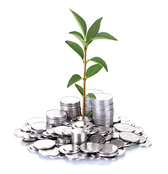 Plant growing out of silver coins isolated on white — Stock Photo, Image