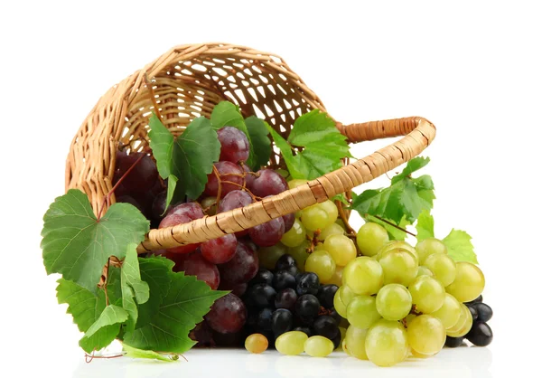 Surtido de uvas dulces maduras en canasta, aisladas en el blanco — Foto de Stock