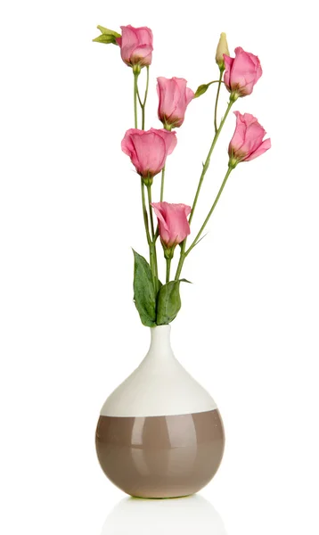 Eustoma virágok vázában elszigetelt fehér csokor — Stock Fotó