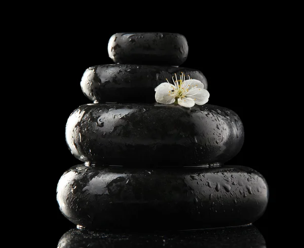 Spa stones and white flowers isolated on black — Stock Photo, Image