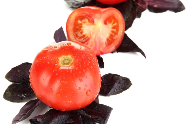 Pomodori freschi e foglie di basilico isolate su bianco — Foto Stock